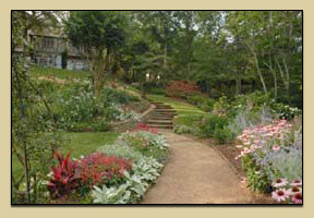 Residential landscape design, installation, and maintainance.